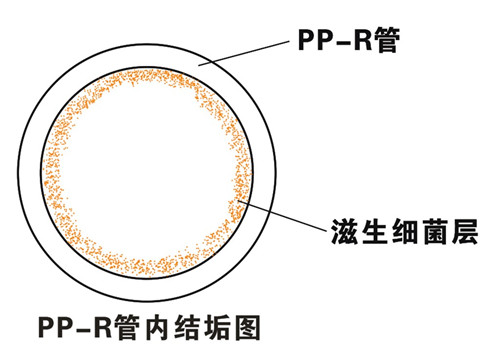 PP-R滲氧，易滋生細(xì)菌，有異味；腐蝕金屬連接件，降低使用壽命